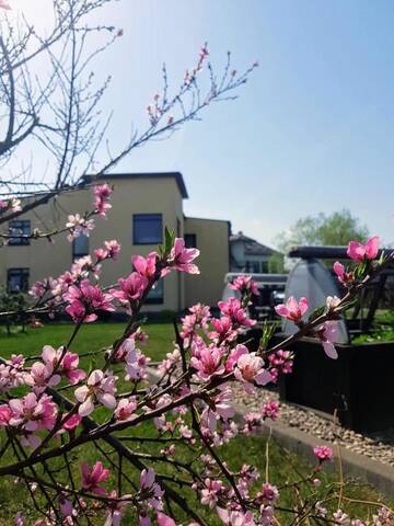 Фото номера Апартаменты Апартаменты Cozy Apartment Magnolia г. Вентспилс 33